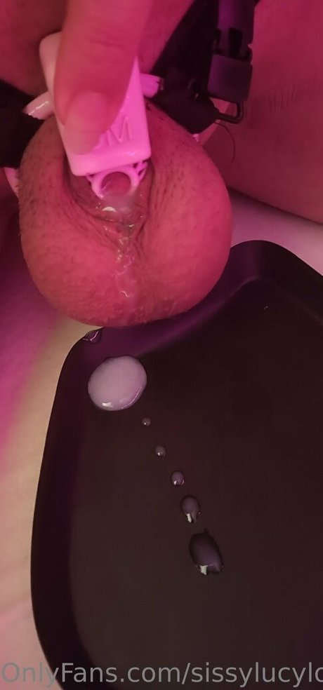 sissylucylove beautiful pornstar gallery