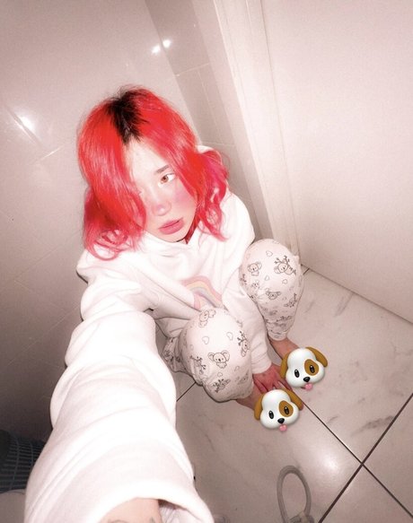 Flaffyx model top img