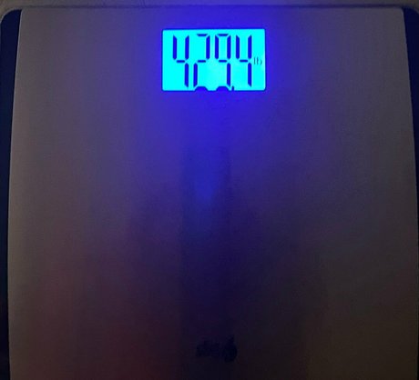 honeycow 17 star high quality img