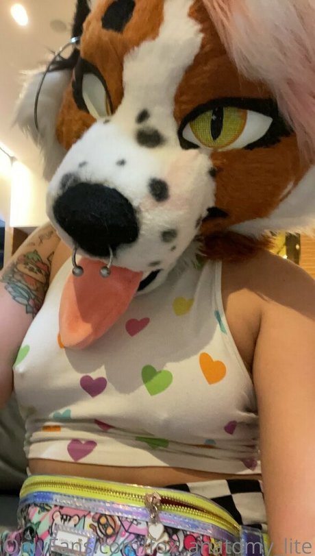 fox anatomy lite pornographic star galleries