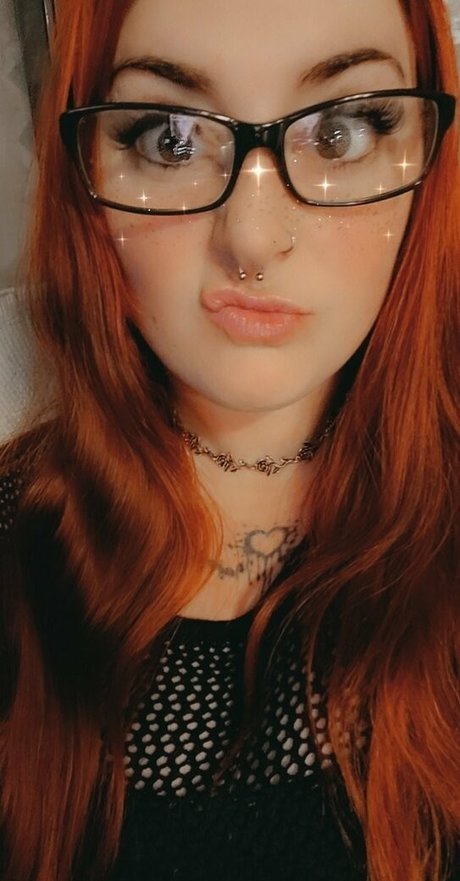 paradox 5683 perfect star gallery