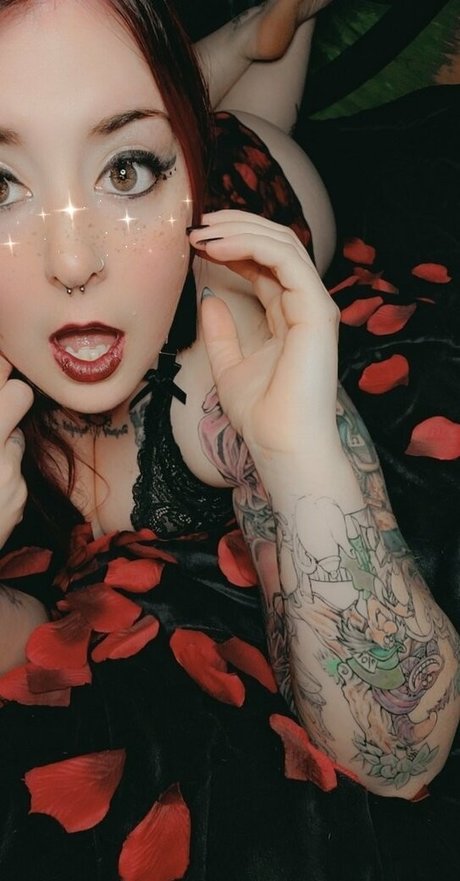 paradox 5683 pornstar adult pic