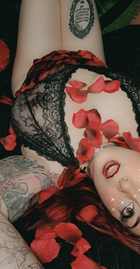 paradox 5683 top actress images