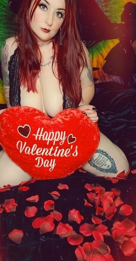 paradox 5683 star free photos