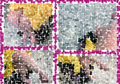 theparatara nudes star image