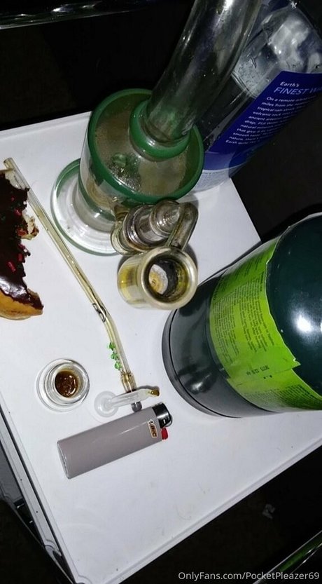 pocketpleazer pornstar nude image