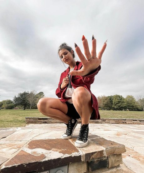 Alison Rainer star art galleries