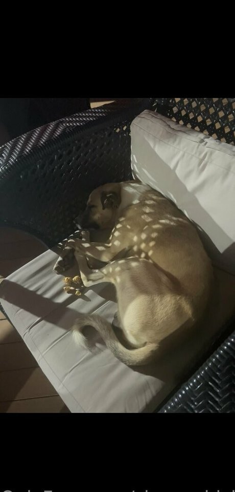 sleepychick11 hd pornstar pics