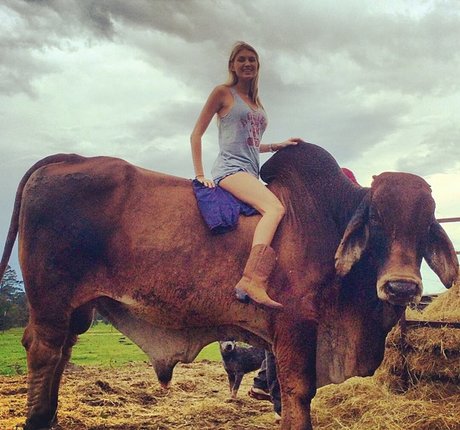 Krystal Gable star erotic gallery