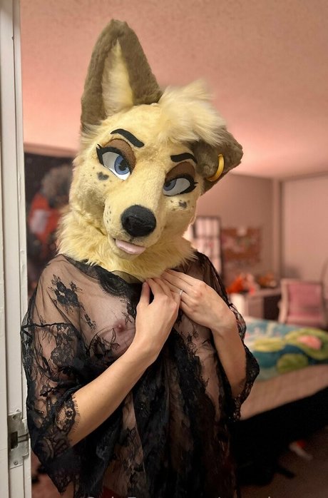 angel pups pornstar erotic img