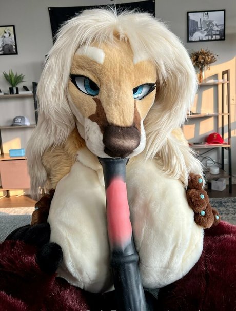 angel pups nudes star gallery