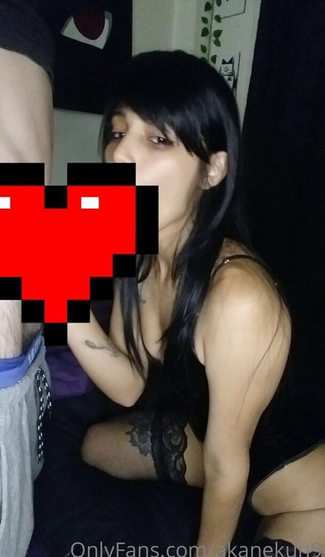 Akanekun9 perfect star archive