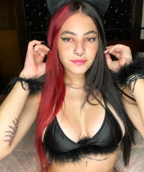 Yeireales free star gallery