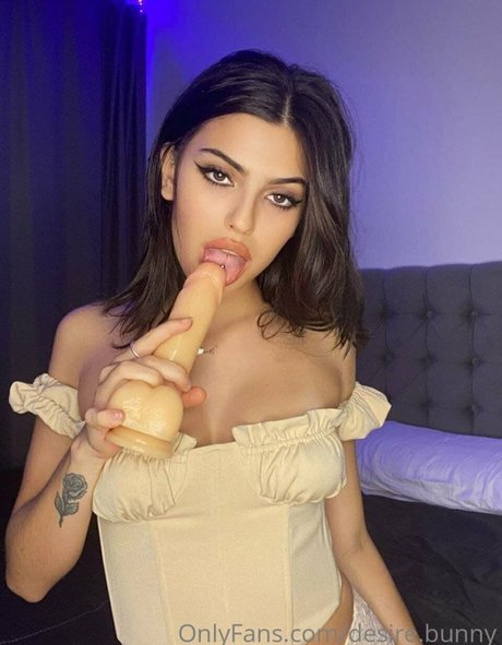 Desiree Bunny xxx actress image