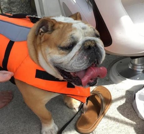 Courtney Craib pornstar beautiful photos