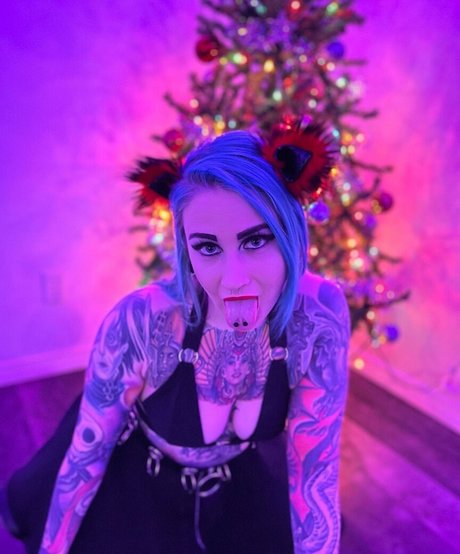 Flowmi art star galleries