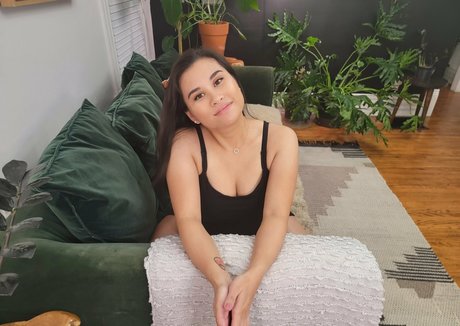 planejanedfree beautiful star archive