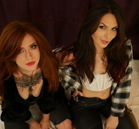 Ciny looney porn star img