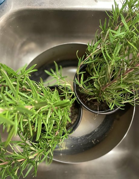 malloypanda beautiful model photos