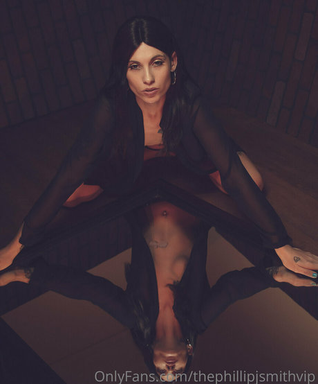 thephillipjsmithvip art star gallery