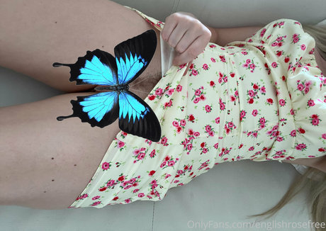 englishrosefree perfect star picture