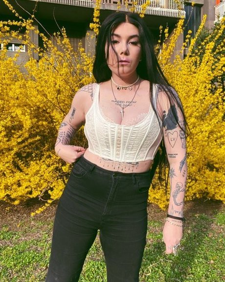 Ready To Glare star perfect pic