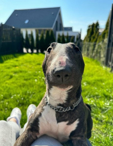 asmrjanina sex model photos