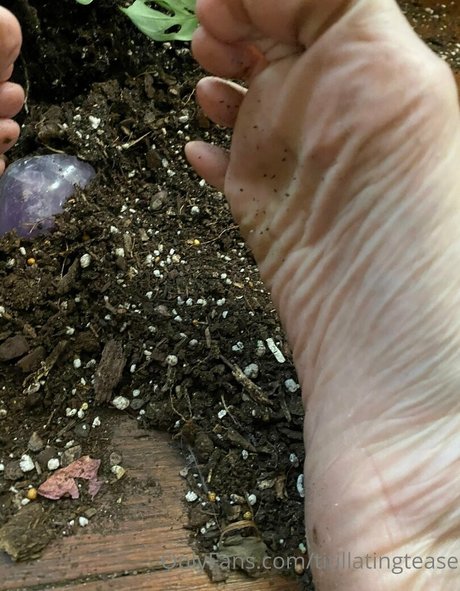 titillatingtease best star pic