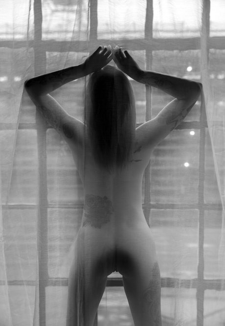 itsfreetorro naked star image