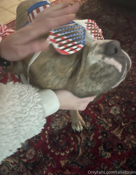 tallielorain Profile pic