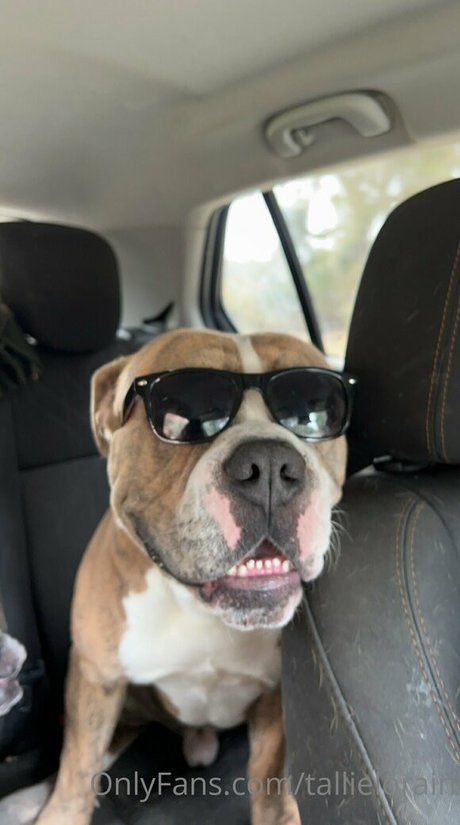 tallielorain pornstar sexy image