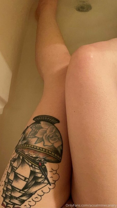 acoalminecanary hd actress img