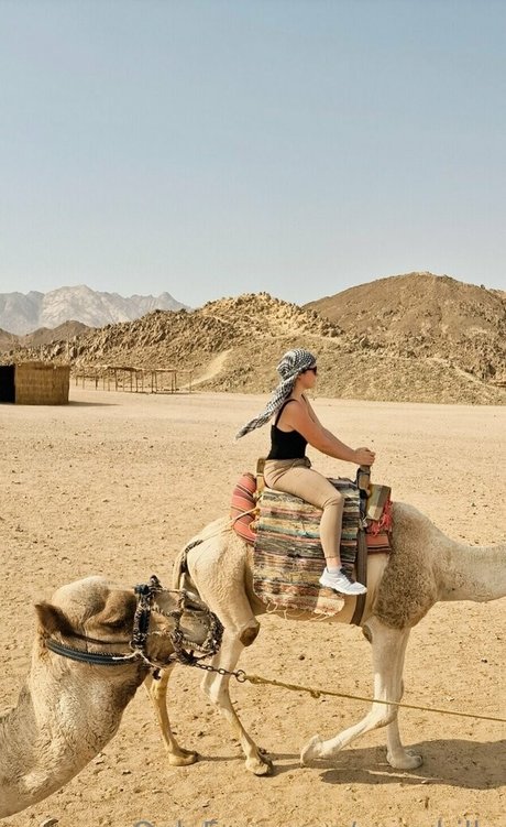 maryhillx star nice pics