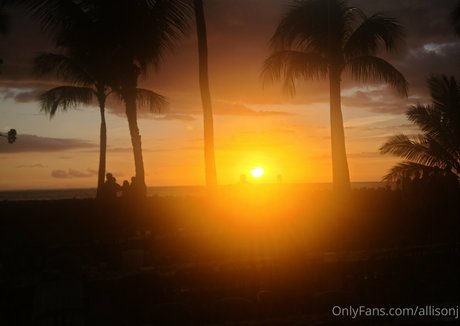 allisonj free star galleries