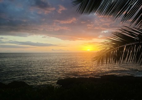 allisonj star high quality pictures