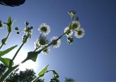 jacquelinestone56 pornstar high quality galleries