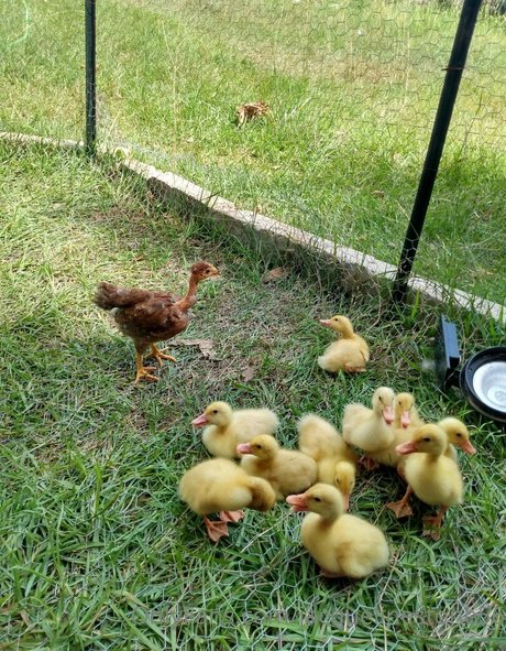 jacquelinestone56 xxx star image