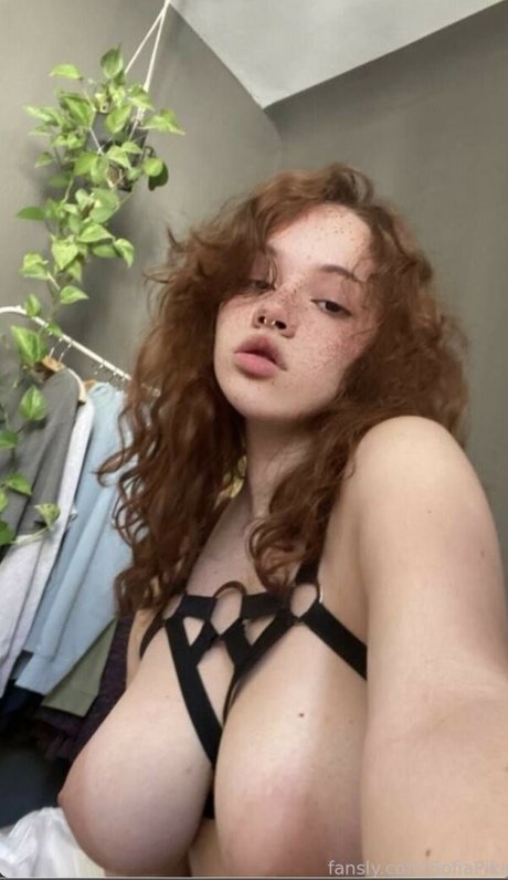 SofiaPika star pretty gallery