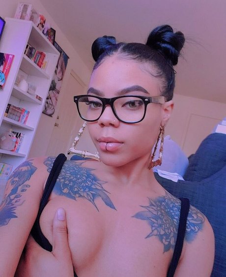 Cateyesenpaii high quality star gallery