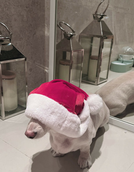 Siw0ns_ best pornstar img