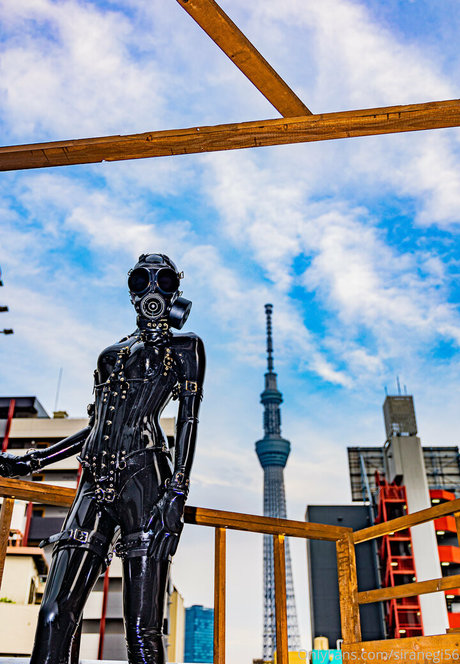 siranegi56 model pretty picture