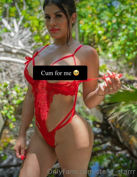 stella starrr top pornstar archive