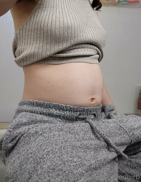 astuffedbirb nudes star img