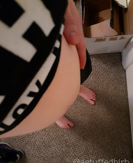 astuffedbirb free star pic