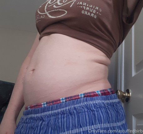 astuffedbirb star nude image