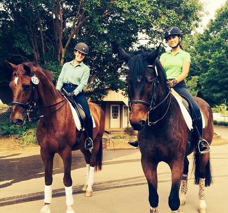 Ashton Hatchell model hd galleries