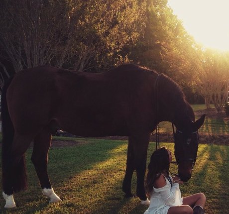 Ashton Hatchell star pornographic img