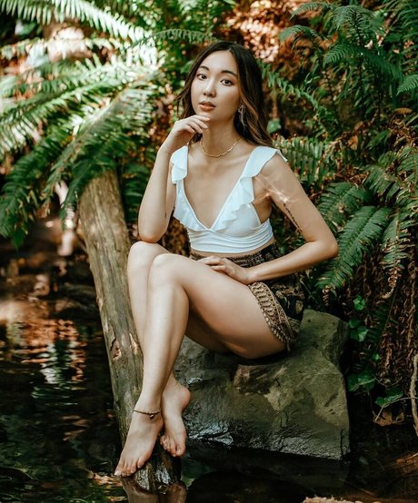 Fearfiction star hd pictures