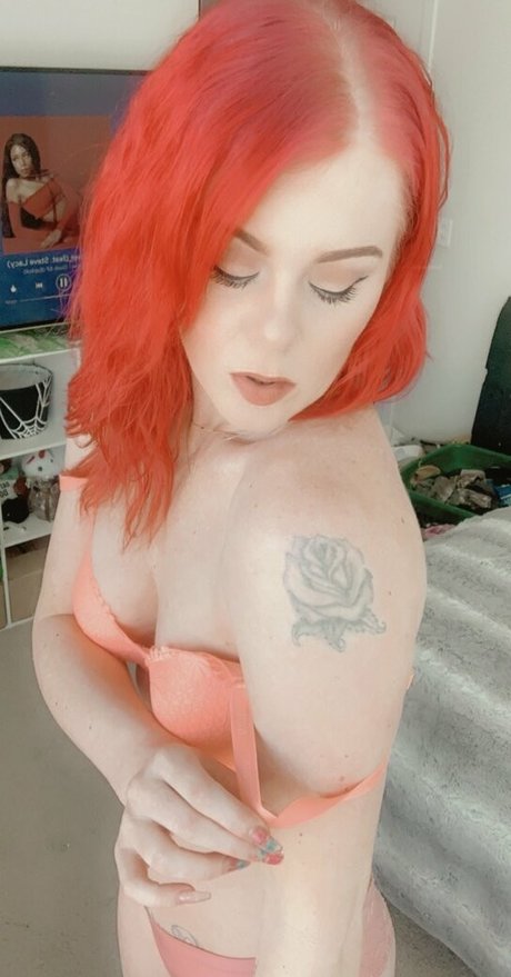 lanilonglegs Profile pic