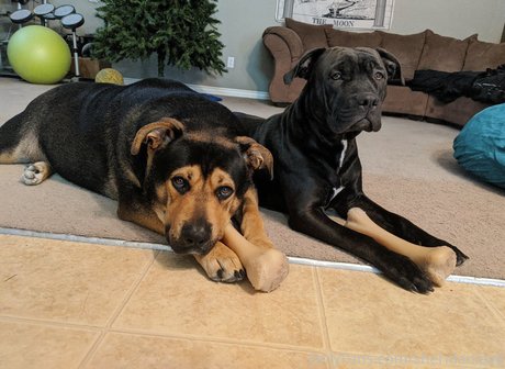 sheridanlove pornstar hd img